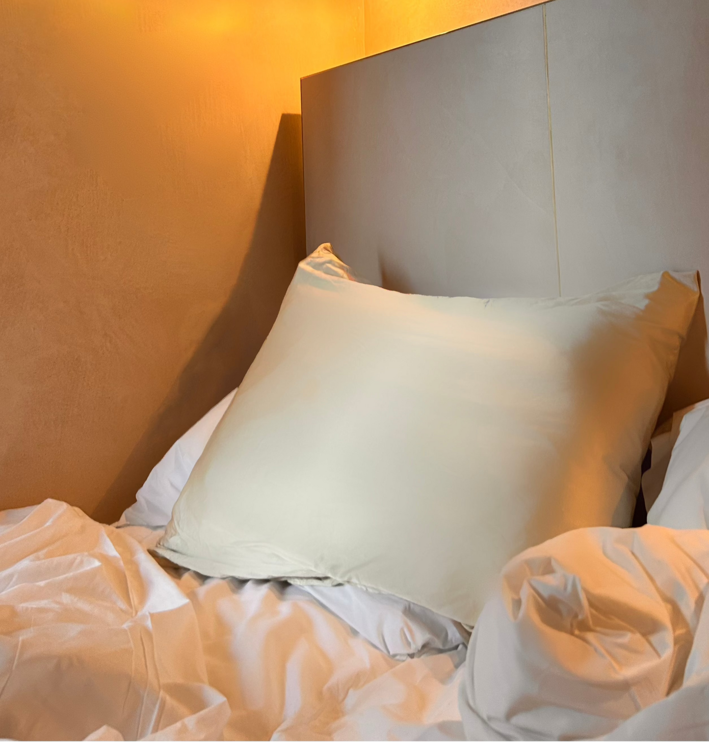 Genesis Silk Pillowcase